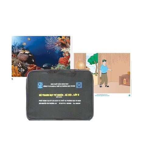 Tranh Tự nhiên Xã Hội lớp 2- tranh giấy couche