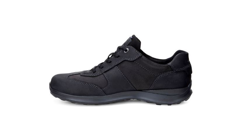 ECCO HAYES vietnghi test