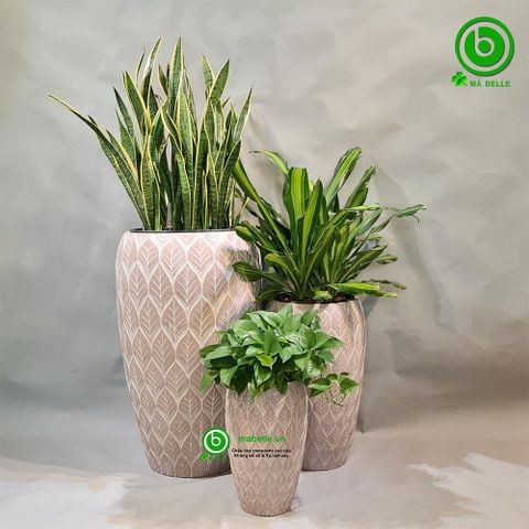 CHẬU COMPOSITE CAO CẤP MA BELLE 75385 MÀU ĐÁT SÉT + TỰ DƯỠNG THÔNG MINH