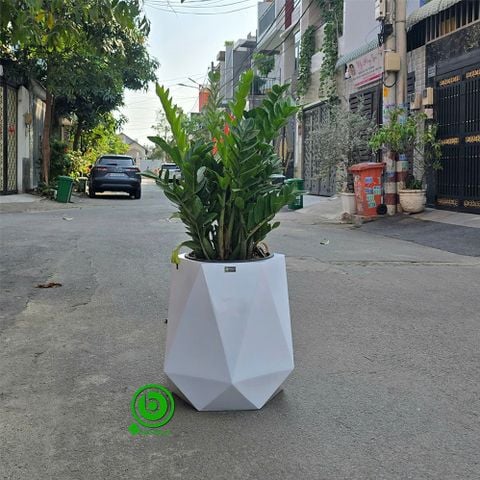 (3 MÀU) CHẬU COMPOSITE MA BELLE 75050 + TỰ DƯỠNG THÔNG MINH