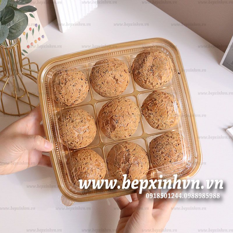 Hộp nhựa 9 ngăn QF999