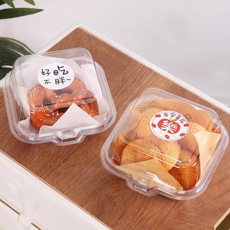 Hộp nhựa Bento vuông trong CH 805
