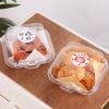 Hộp nhựa Bento vuông trong CH 805