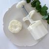 Khuôn trung thu 75g 2 quả hồng