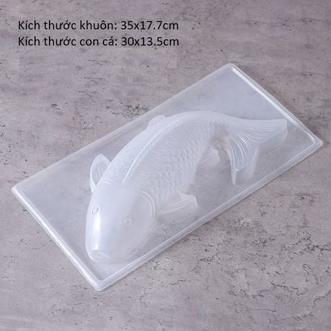 Khuôn cá chép nhựa lớn