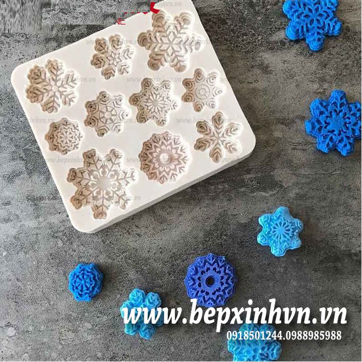 Khuôn silicon 4D 10 hoa tuyết