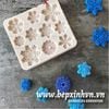 Khuôn silicon 4D 10 hoa tuyết