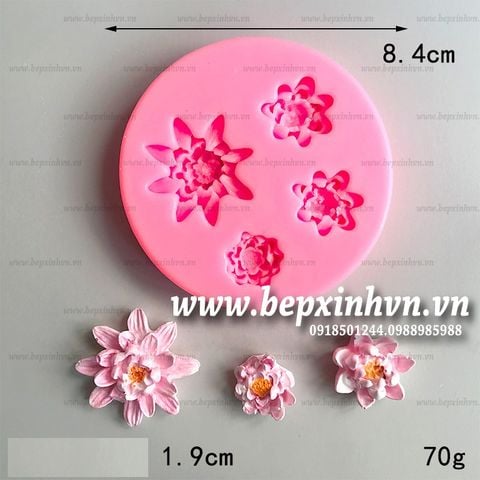 Khuôn silicon 4D 4 Hoa Sen