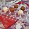 Khuôn nhựa làm socola bonbon 24 viên vỏ sò