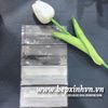 Túi đựng kẹo nougat 4x9cm Hoa tuyết trắng (100 túi)
