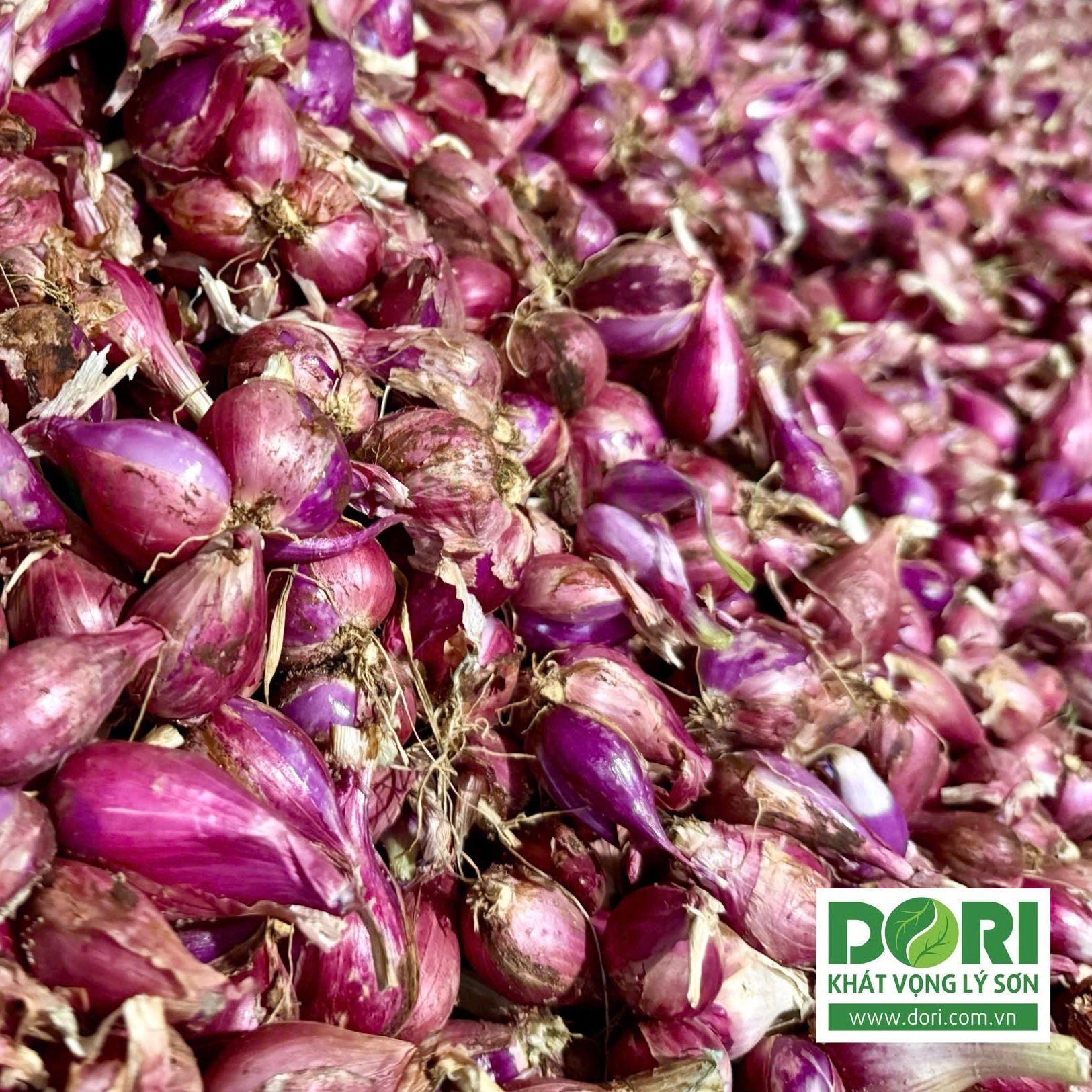 Combo 5kg hành tím Lý Sơn Dori loại thường