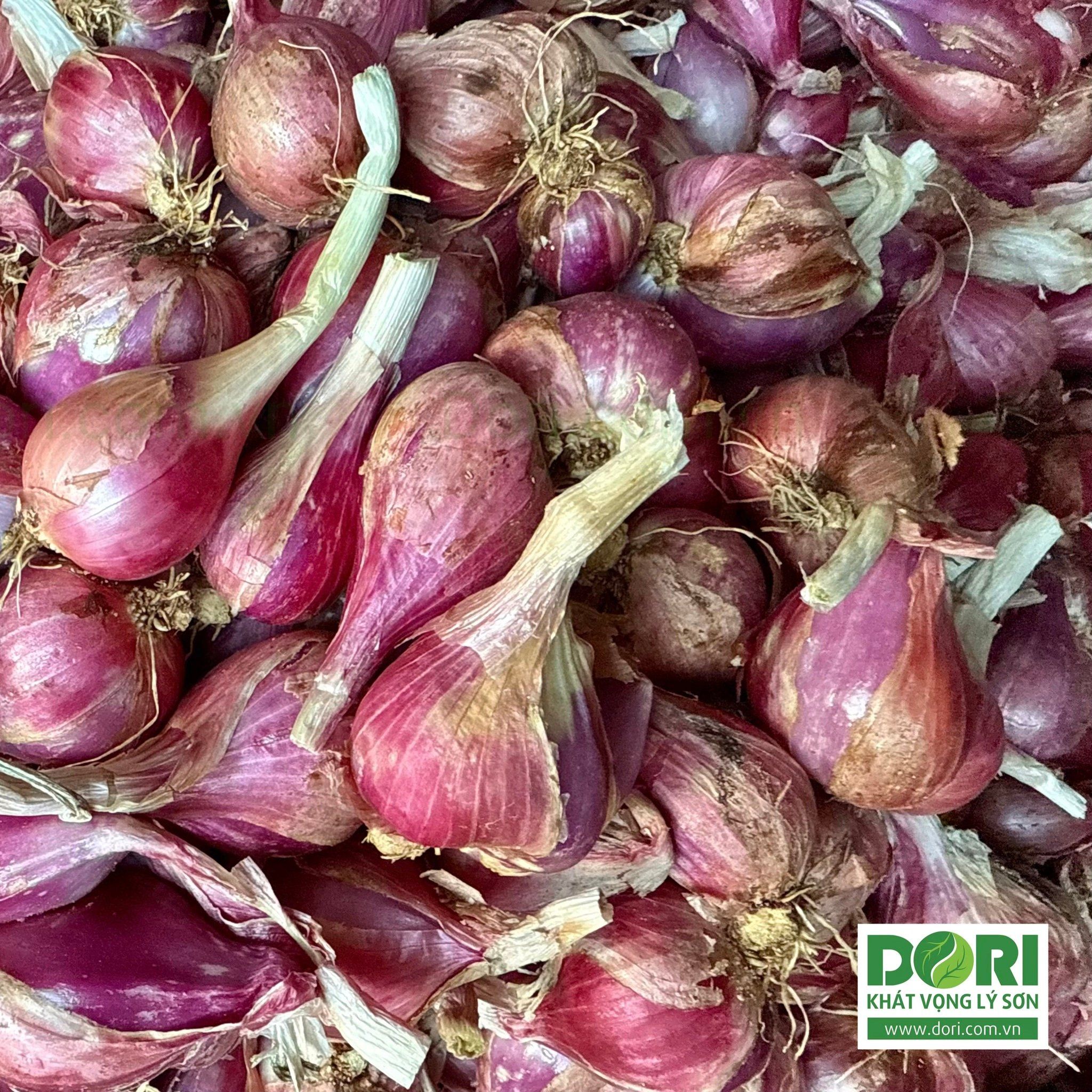 Combo 5kg hành tím Lý Sơn Dori loại to đặc biệt