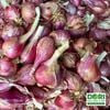 Combo 5kg hành tím Lý Sơn Dori loại to đặc biệt