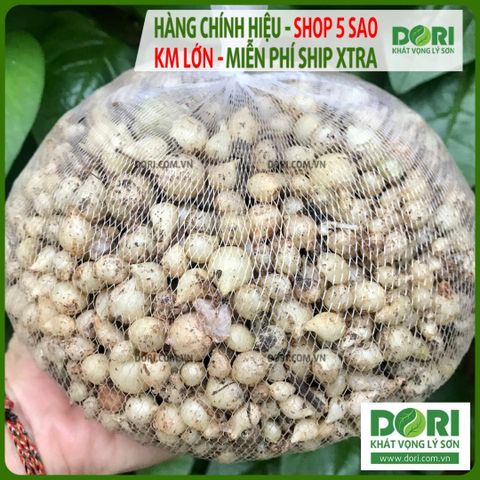  Củ nén hành tăm - Dori Thơm - 250g 500g 1kg - Gia vị Việt Nam 