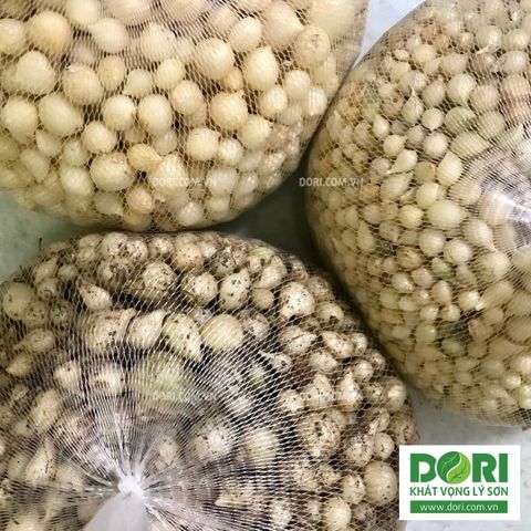  Củ nén hành tăm - Dori Thơm - 250g 500g 1kg - Gia vị Việt Nam 