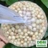 Củ nén hành tăm - Dori Thơm - 250g 500g 1kg - Gia vị Việt Nam