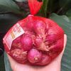 Hành tím Lý Sơn Dori - Túi lưới 500g  ( KM đến hết 30/4/25)