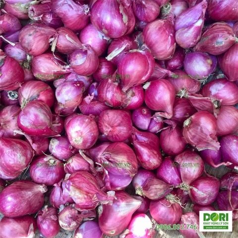  Hành tím khô Vĩnh Châu Sóc Trăng - Dori Thơm - 1kg - củ to tròn rất khô và thơm 