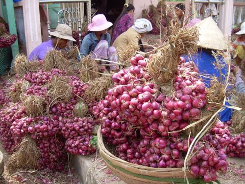 Hành tím khô Phan Rang - Dori Thơm - 1kg - củ to tròn rất khô và thơm