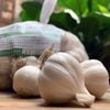 Tỏi Lý Sơn Dori - loại nhiều tép - túi lưới 1kg ( KM đến hết 30/4/25)