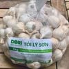 Tỏi Lý Sơn Dori - loại nhiều tép - túi lưới 1kg ( KM đến hết 30/4/25)