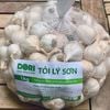 Tỏi Lý Sơn Dori - loại nhiều tép - túi lưới 1kg