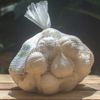 Tỏi Lý Sơn Dori - Loại tỏi nhiều tép - Túi lưới 250g - Trồng tại đảo Lý Sơn  ( KM đến hết 30/4/25)