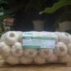 Tỏi Lý Sơn - Dori Gold - Kích cỡ đặc biệt - Túi 500g ( KM đến hết 30/4/25)