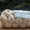 Tỏi Lý Sơn - Dori Gold - Kích cỡ đặc biệt - Túi 500g ( KM đến hết 30/4/25)