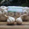 Tỏi Lý Sơn - Dori Gold - Kích cỡ đặc biệt - Túi 500g ( KM đến hết 30/4/25)