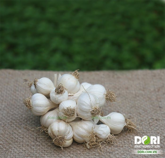 Tỏi Lý Sơn VietGAP Dori - Túi 1kg ( KM đến hết 30/4/25)