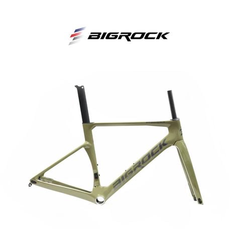  Sườn xe đạp Bigrock Road Aero Carbon - Màu Xanh lá mạ 
