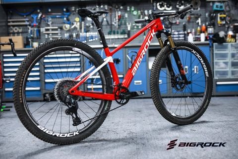  Xe đạp MTB Bigrock 29 inch Đỏ - Trắng 