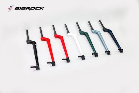 Phuộc xe đạp carbon BigRock Lefty 29 inch 