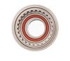Cối đùm titan MS / XD cho các đùm sử dụng Ratchet Possible / ZTTO / DT Swiss / Pine