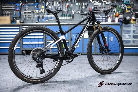  Xe đạp MTB Bigrock 29 inch Đen - Trắng 