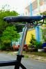 Xe đạp BlackSnow LHT Classic build