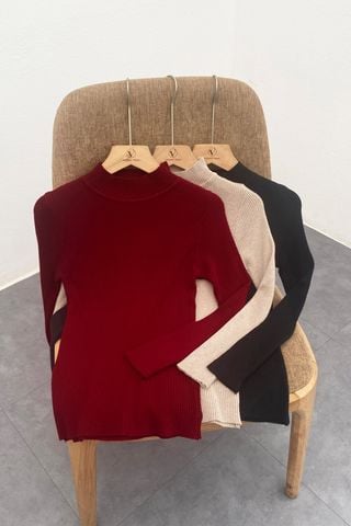 áo len tăm dài tay cổ cao - N61W23T007