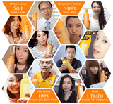  Nước súc miệng Propolinse chai vàng chiết xuất sáp ong ngăn ngừa mảng bám (600ml/chai) 