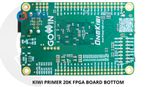  KIWI PRIMER 20K FPGA BOARD 