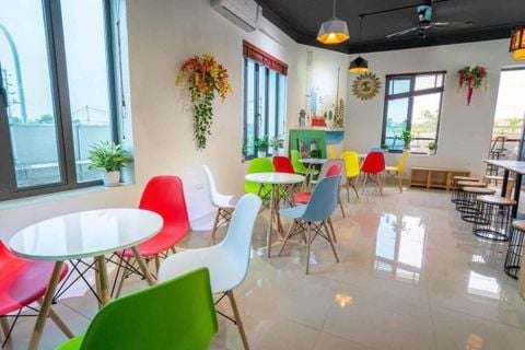 Bộ Bàn Mặt Tròn Và 4 Ghế Eames, Chân Gỗ - 60cm (Đường Kính)