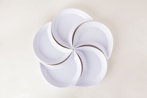 Dĩa Hoa DMT Màu Trắng