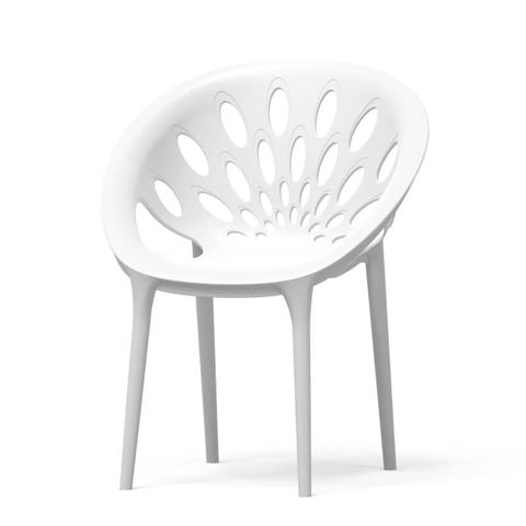 Ghế Pavo Duy Tân Nhiều Màu