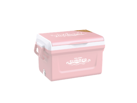 Thùng Đá ICY Duy Tân