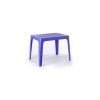 Bàn Nhựa PP Mặt Chữ Nhật Tân Lập Thành - 44 x 64cm (Rộng x Dài)