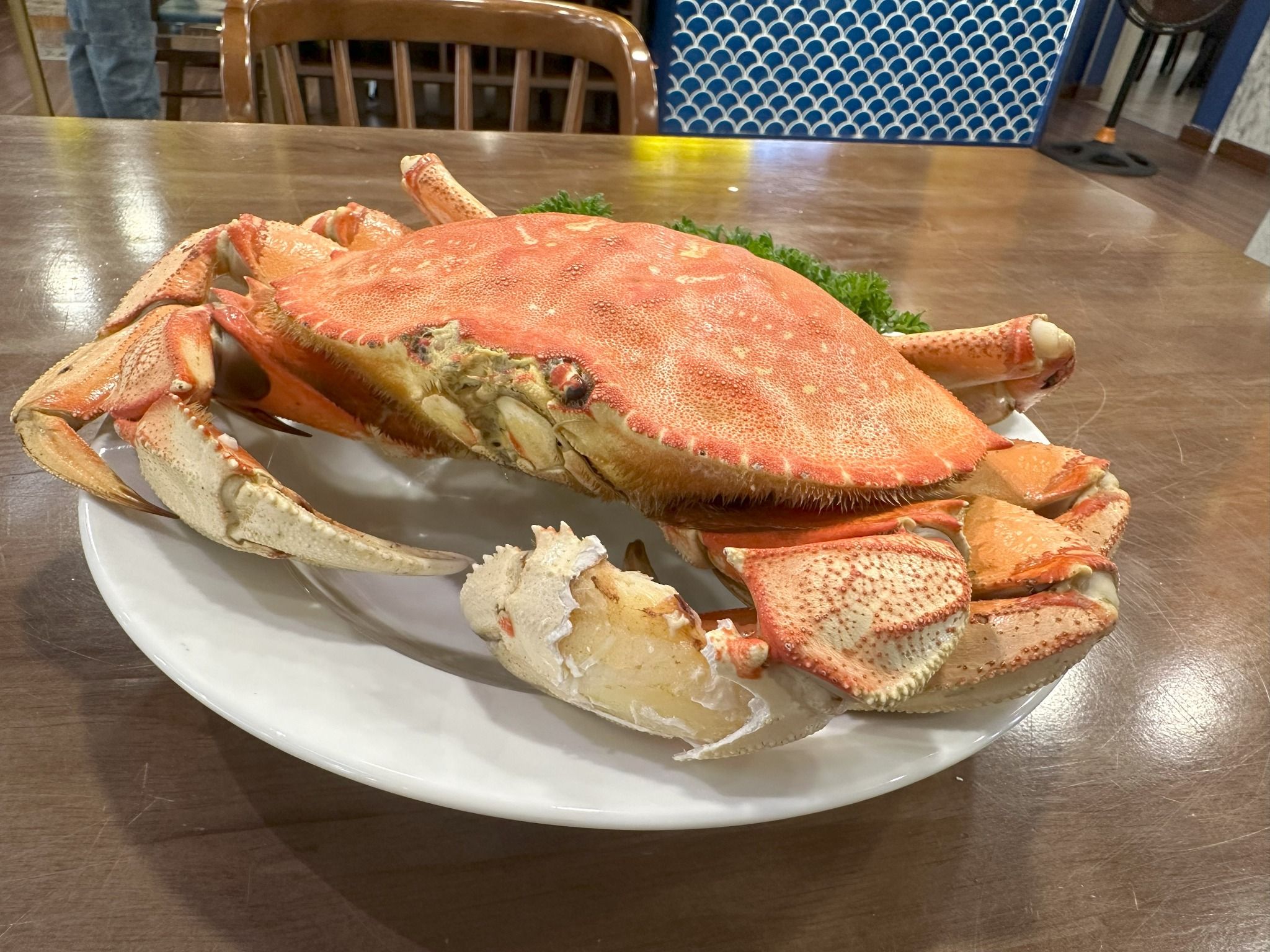  Cua Biển Canada (Cua Dungeness) - Sống 