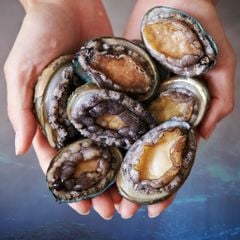 Bào Ngư Hàn Quốc