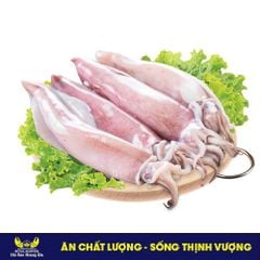  Mực Ống Câu Phú Quốc (~1Kg/Gói) - Đông lạnh (Gói) 