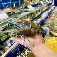 Tôm Càng Xanh