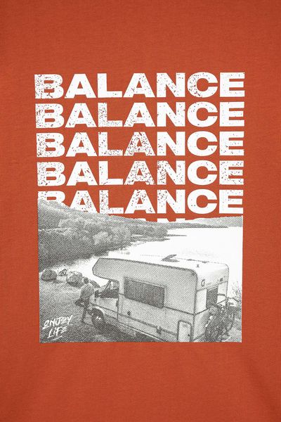 Áo Thun Nữ Regular Fit In Graphic Balance Art WTS 2193
